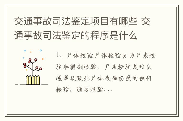 交通事故司法鉴定项目有哪些 交通事故司法鉴定的程序是什么