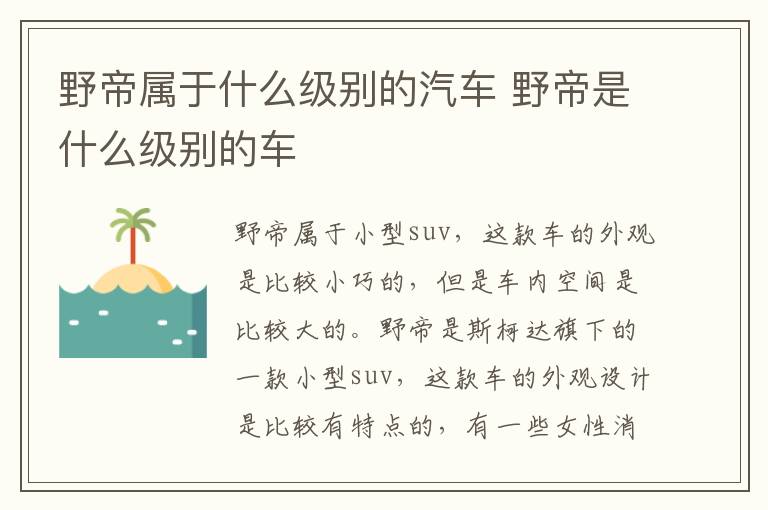 野帝属于什么级别的汽车 野帝是什么级别的车