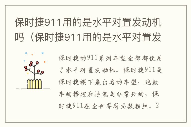 保时捷911用的是水平对置发动机吗 保时捷911用的是水平对置发动机吗