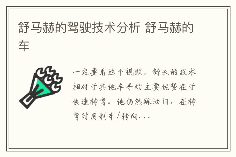 舒马赫的驾驶技术分析 舒马赫的车