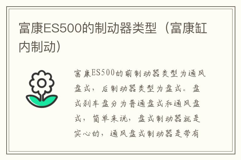 富康缸内制动 富康ES500的制动器类型