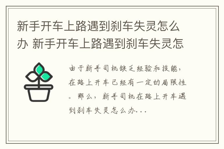 新手开车上路遇到刹车失灵怎么办 新手开车上路遇到刹车失灵怎么办呢