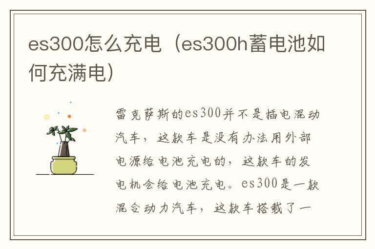 es300h蓄电池如何充满电 es300怎么充电