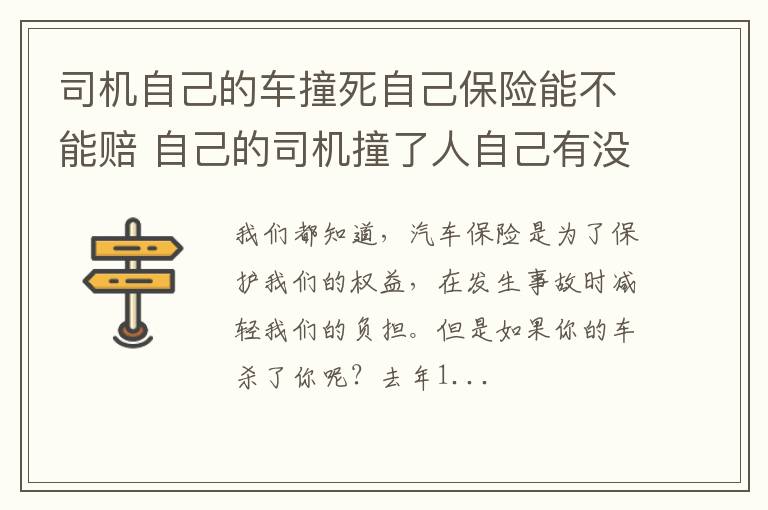 司机自己的车撞死自己保险能不能赔 自己的司机撞了人自己有没有责任