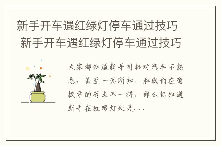 新手开车遇红绿灯停车通过技巧 新手开车遇红绿灯停车通过技巧图解