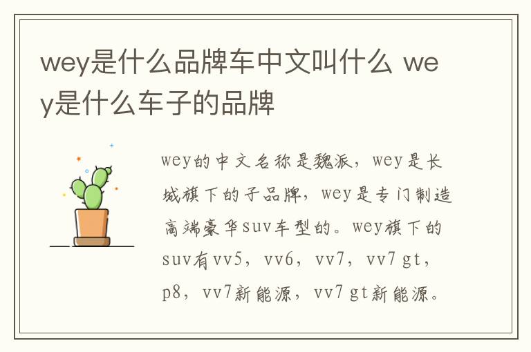 wey是什么品牌车中文叫什么 wey是什么车子的品牌