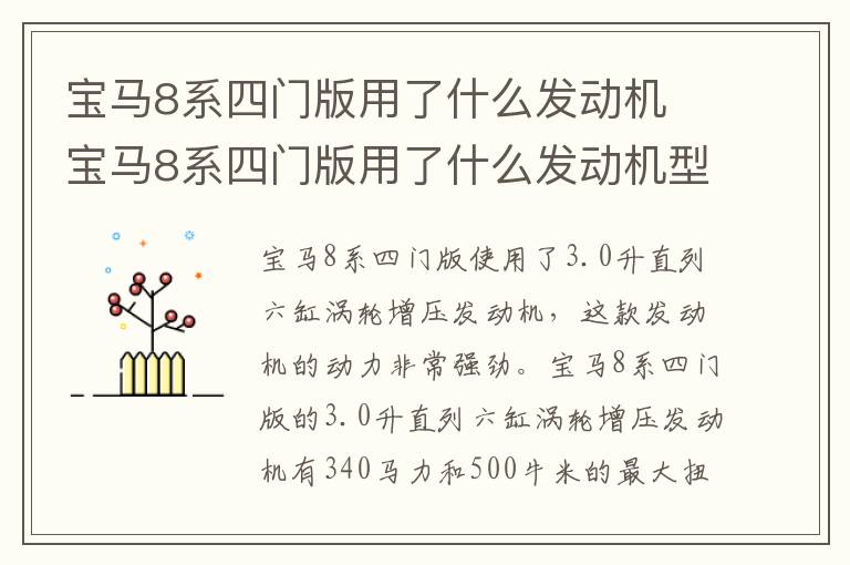 宝马8系四门版用了什么发动机 宝马8系四门版用了什么发动机型号