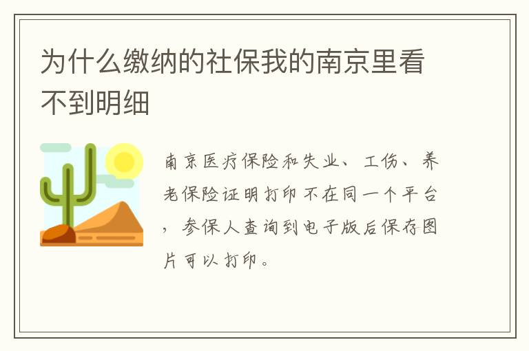 为什么缴纳的社保我的南京里看不到明细