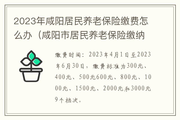 咸阳市居民养老保险缴纳时间2020年 2023年咸阳居民养老保险缴费怎么办