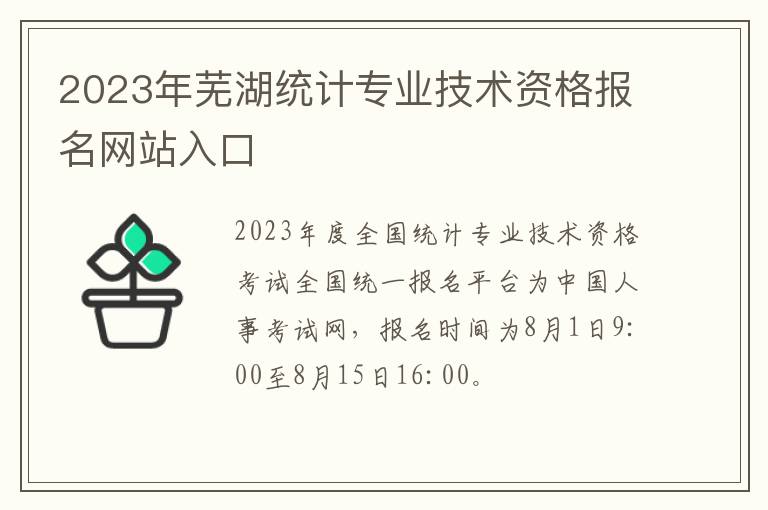 2023年芜湖统计专业技术资格报名网站入口