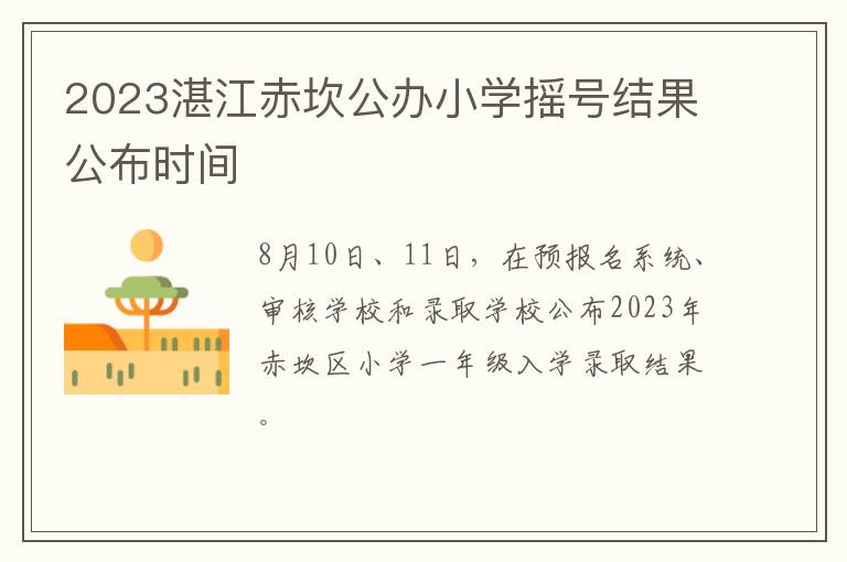 2023湛江赤坎公办小学摇号结果公布时间