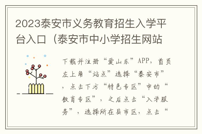 泰安市中小学招生网站 2023泰安市义务教育招生入学平台入口