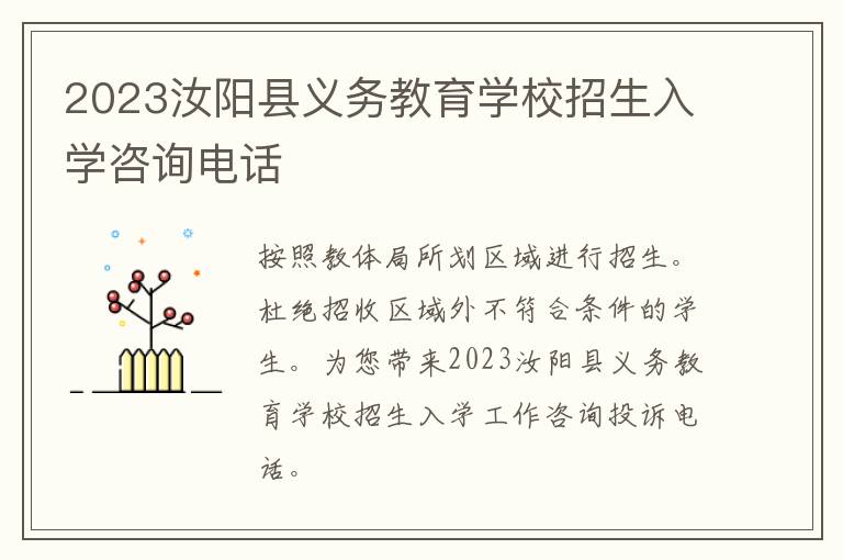 2023汝阳县义务教育学校招生入学咨询电话