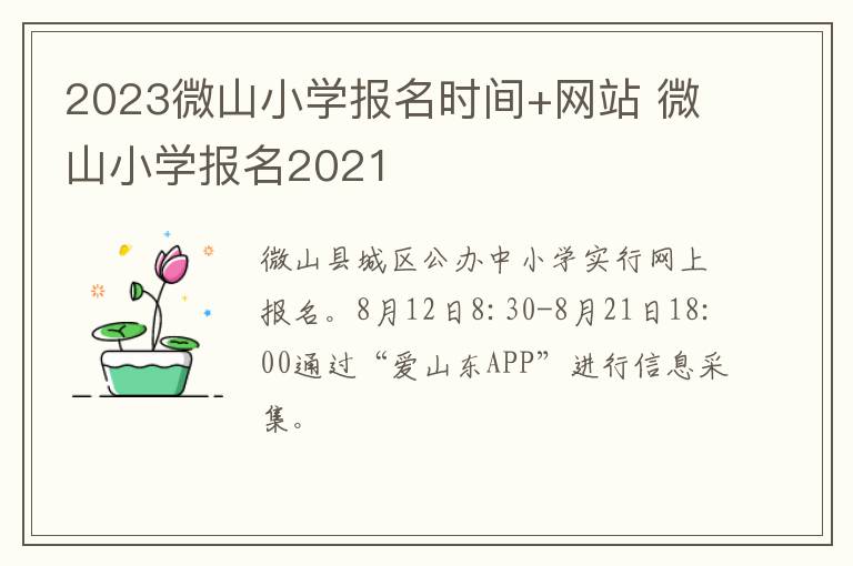 2023微山小学报名时间+网站 微山小学报名2021