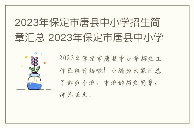 2023年保定市唐县中小学招生简章汇总 2023年保定市唐县中小学招生简章汇总表