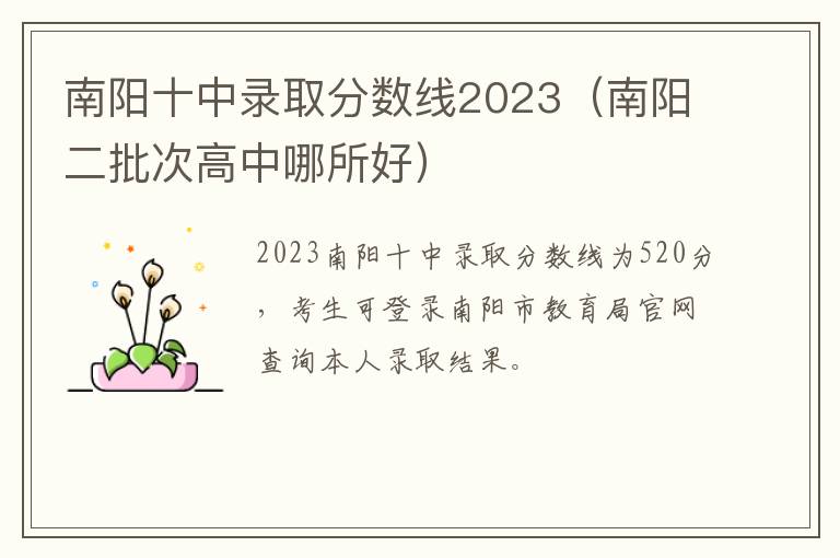 南阳二批次高中哪所好 南阳十中录取分数线2023