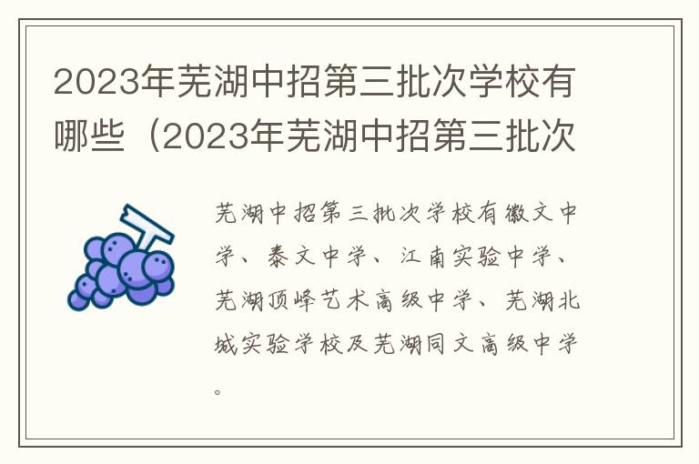 2023年芜湖中招第三批次学校有哪些专业 2023年芜湖中招第三批次学校有哪些