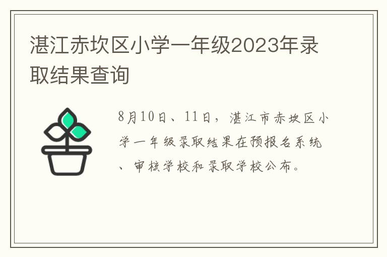 湛江赤坎区小学一年级2023年录取结果查询