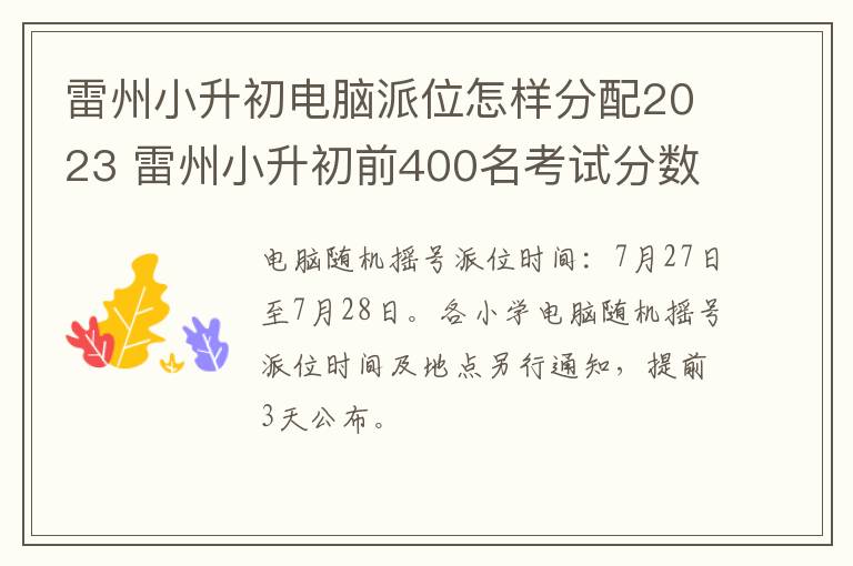 雷州小升初电脑派位怎样分配2023 雷州小升初前400名考试分数线