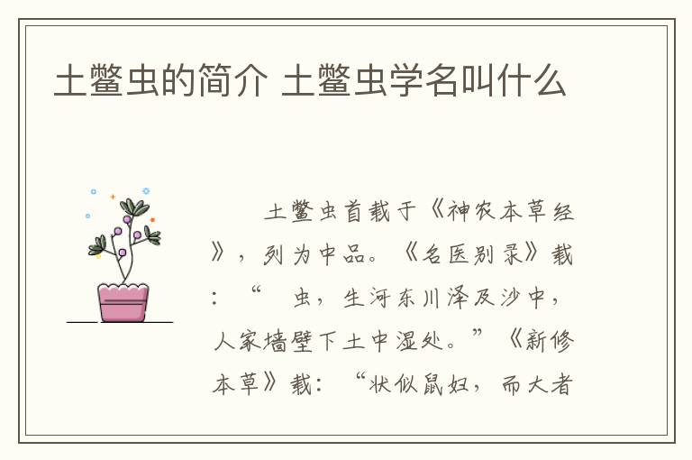 土鳖虫的简介 土鳖虫学名叫什么