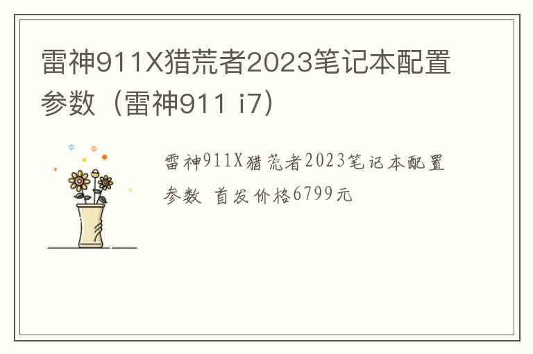 雷神911 i7 雷神911X猎荒者2023笔记本配置参数