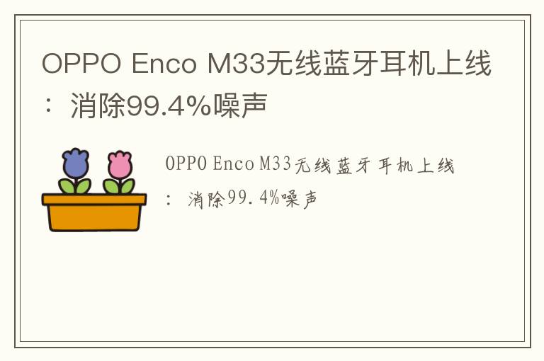 OPPO Enco M33无线蓝牙耳机上线：消除99.4%噪声