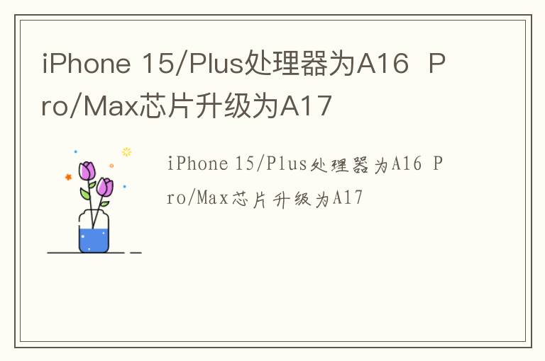 iPhone 15/Plus处理器为A16Pro/Max芯片升级为A17