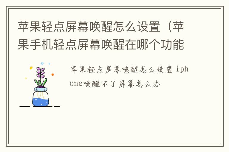 苹果手机轻点屏幕唤醒在哪个功能里面 苹果轻点屏幕唤醒怎么设置