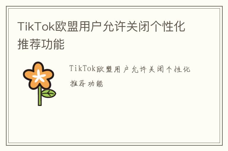 TikTok欧盟用户允许关闭个性化推荐功能