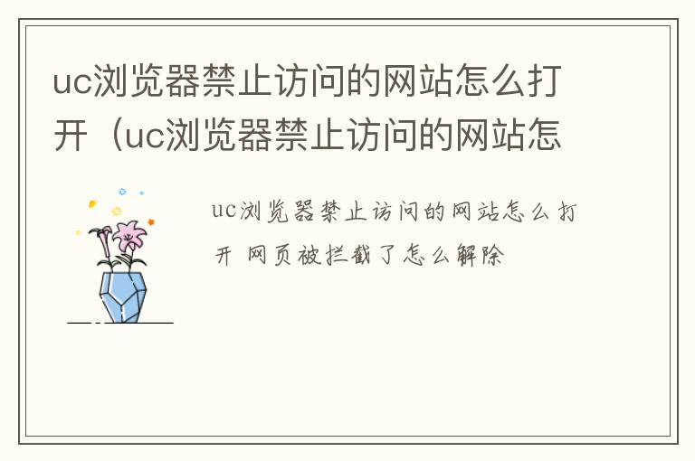 uc浏览器禁止访问的网站怎么打开呢 uc浏览器禁止访问的网站怎么打开