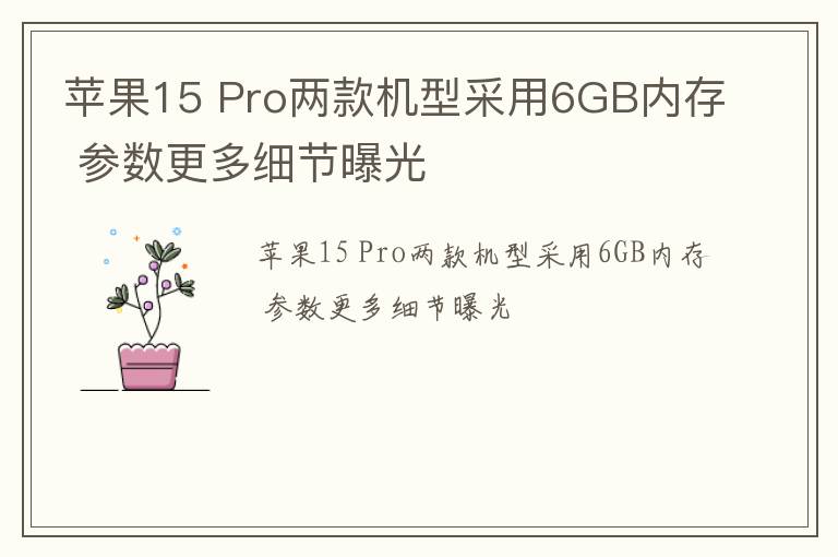 苹果15 Pro两款机型采用6GB内存 参数更多细节曝光