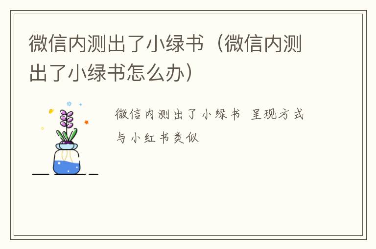 微信内测出了小绿书怎么办 微信内测出了小绿书