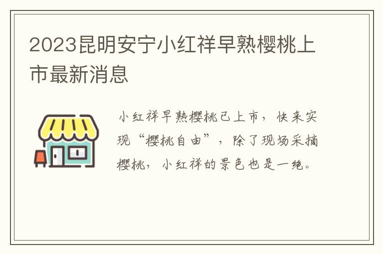 2023昆明安宁小红祥早熟樱桃上市最新消息