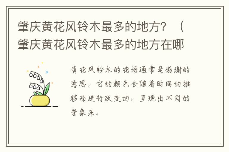 肇庆黄花风铃木最多的地方在哪里 肇庆黄花风铃木最多的地方？