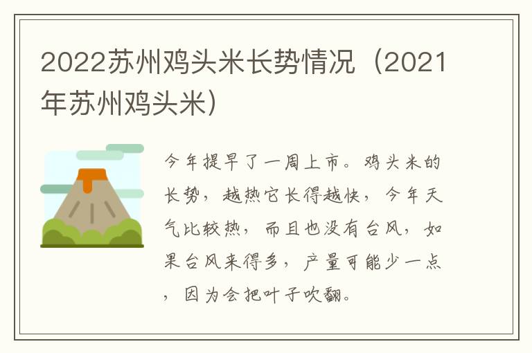 2021年苏州鸡头米 2022苏州鸡头米长势情况